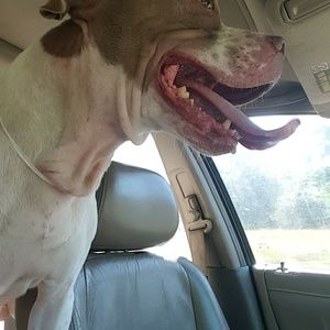 Meet your Posher, Kenyatta